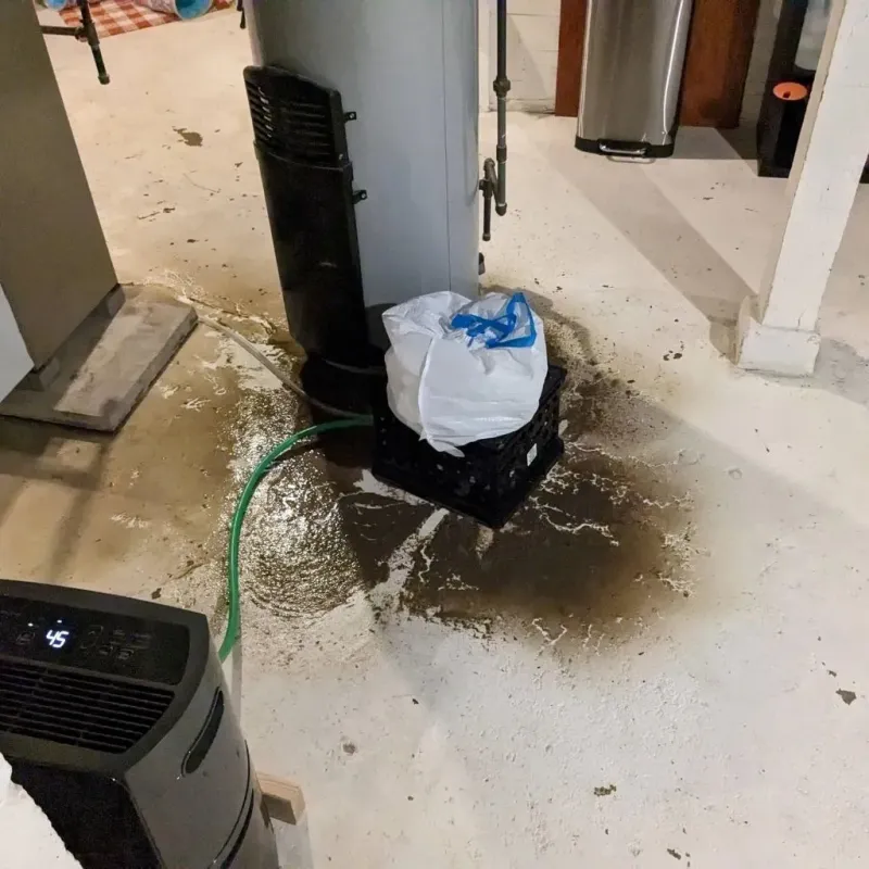 Sewage Backup Cleanup Service in Amberley, OH